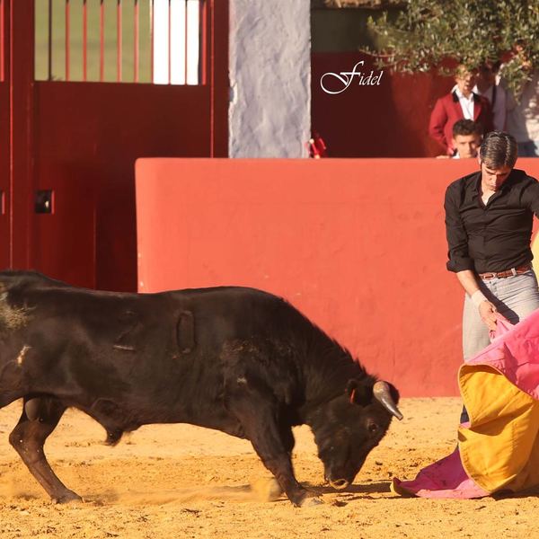 Alumno de la Escuela Taurina de Cabra