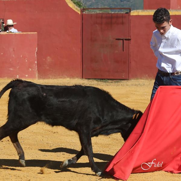 Alumno de la Escuela Taurina de Cabra