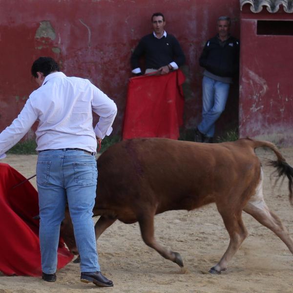 Alumno de la Escuela Taurina de Cabra