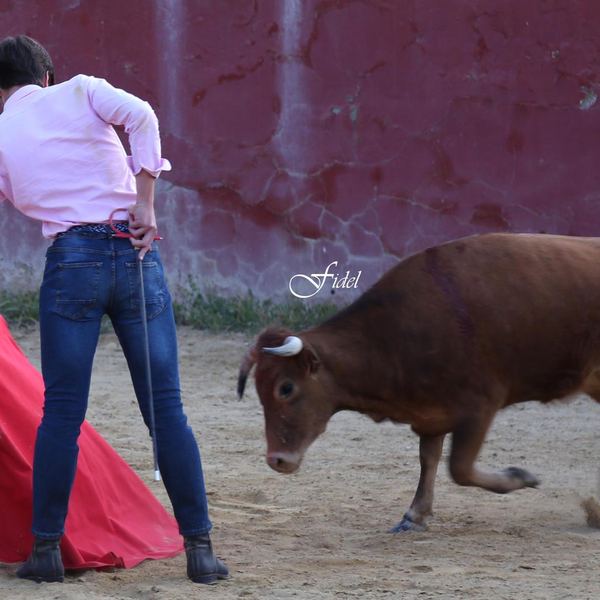 Alumno de la Escuela Taurina de Cabra