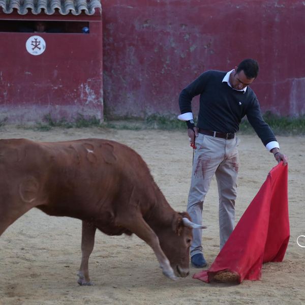 Alumno de la Escuela Taurina de Cabra