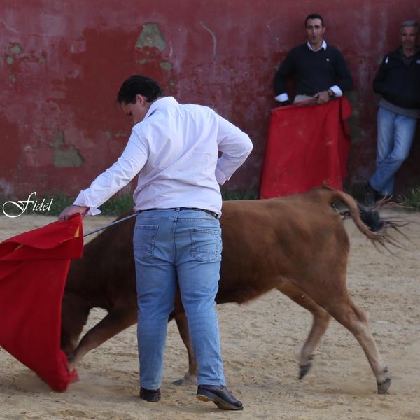 Alumno de la Escuela Taurina de Cabra