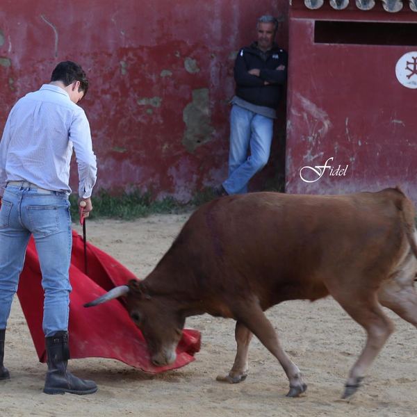 Alumno de la Escuela Taurina de Cabra