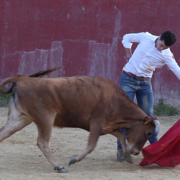 Alumno de la Escuela Taurina de Cabra