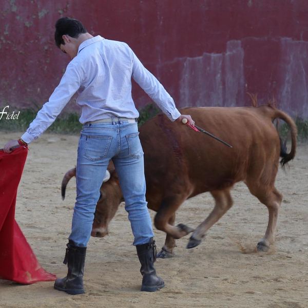 Alumno de la Escuela Taurina de Cabra