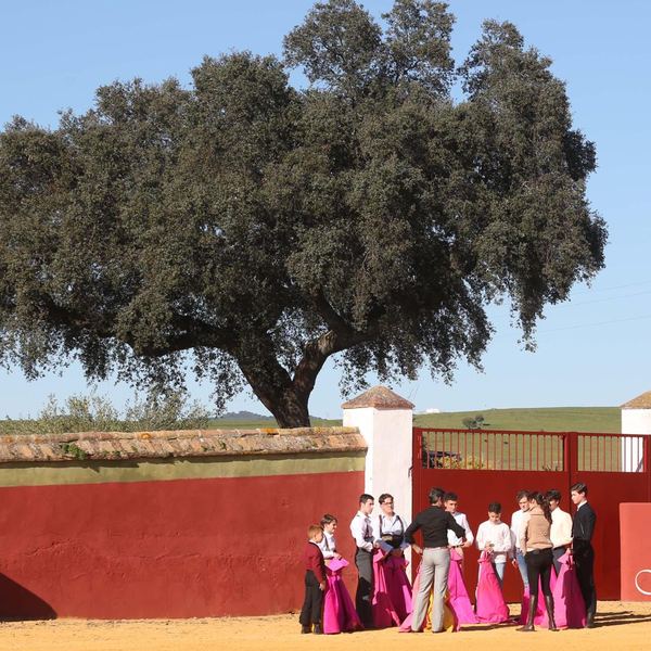 Alumno de la Escuela Taurina de Cabra