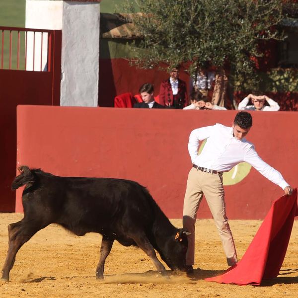 Alumno de la Escuela Taurina de Cabra