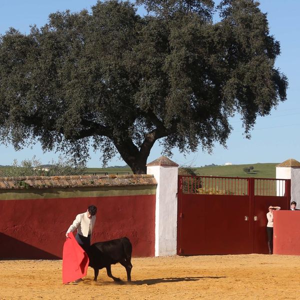 Alumno de la Escuela Taurina de Cabra