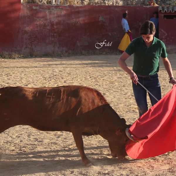 Alumno de la Escuela Taurina de Cabra