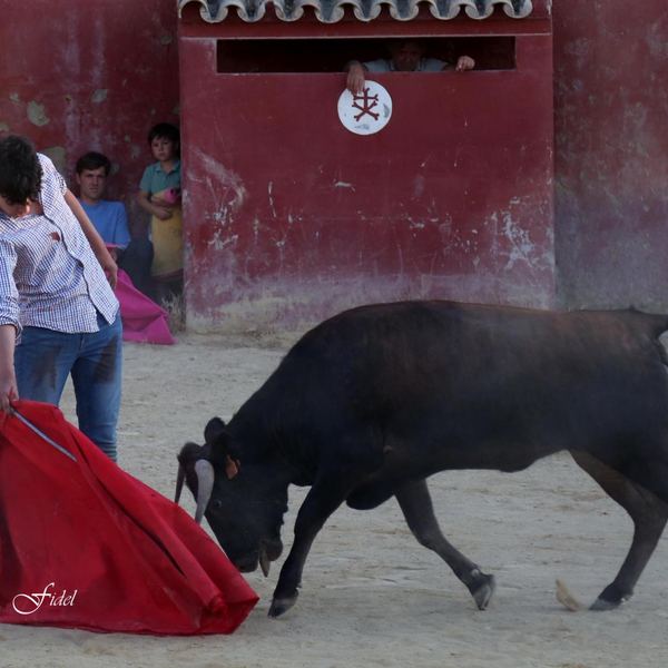 Alumno de la Escuela Taurina de Cabra