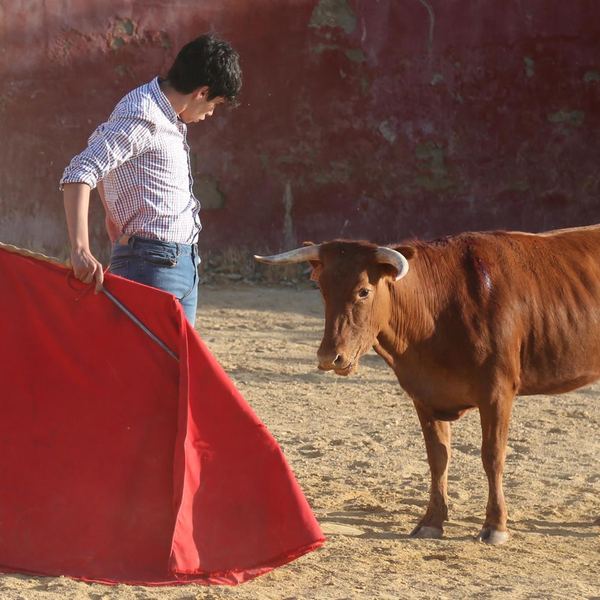 Alumno de la Escuela Taurina de Cabra