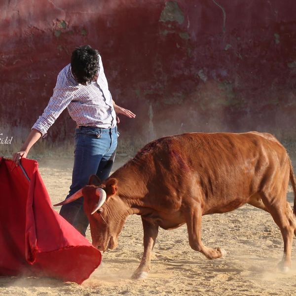 Alumno de la Escuela Taurina de Cabra