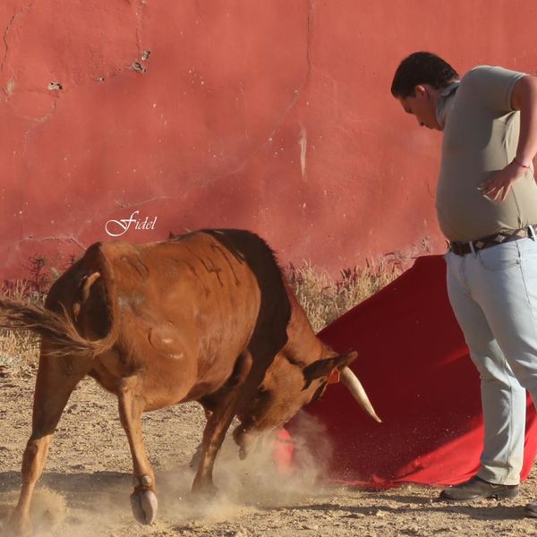 Alumno de la Escuela Taurina de Cabra
