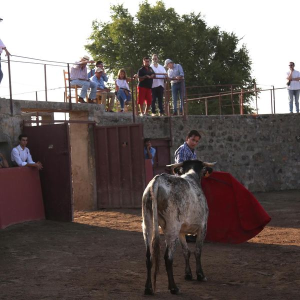 Alumno de la Escuela Taurina de Cabra
